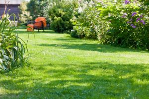 travaux jardin et paysage Ouveillan